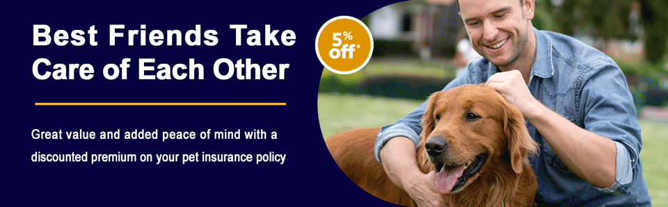 Pet Insurance Banner